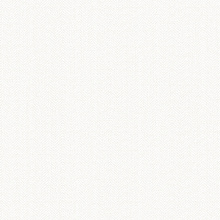 Белые обои для стен Alessandro Allori Bruni 1002-30 RBN