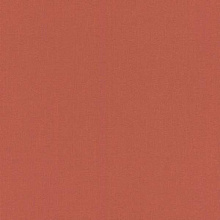 Rasch Poetry 423969